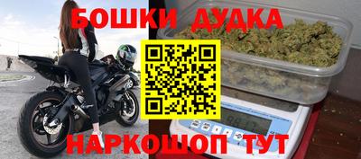 индика Кунгур
