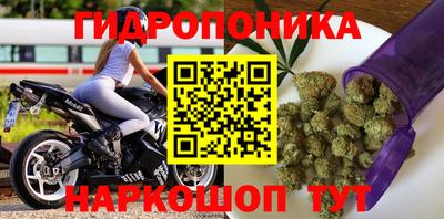 гашик Кумертау
